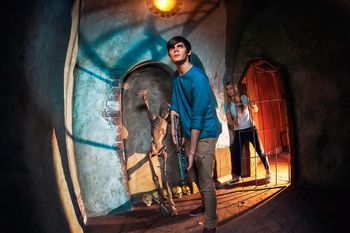 Skeletons | The Crypt